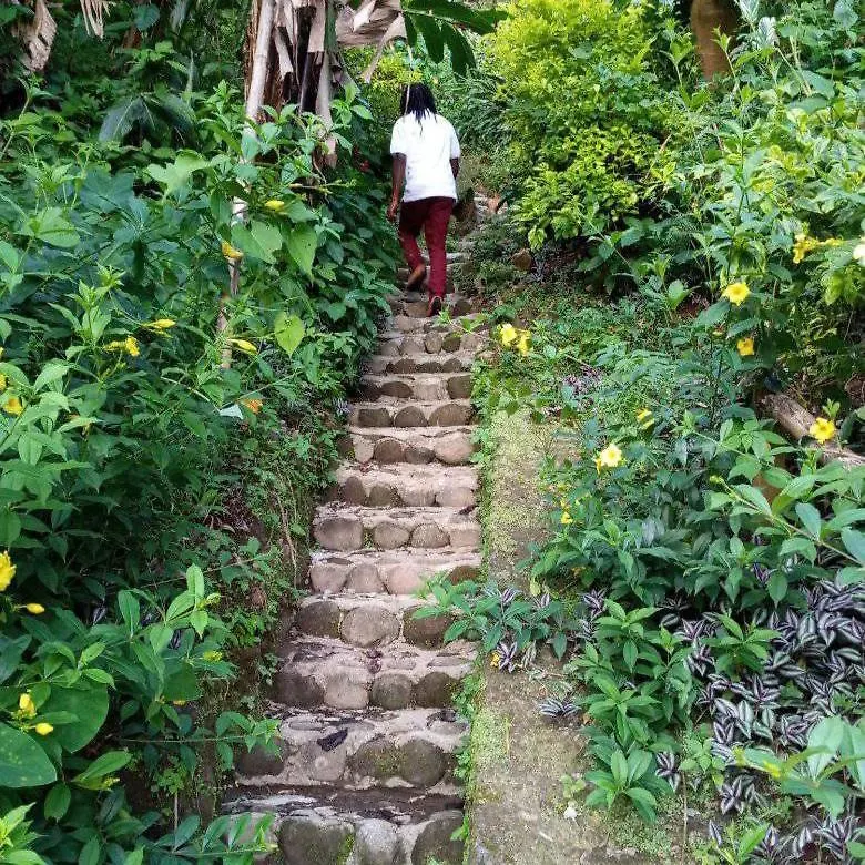 Berkey'S Jungle Paradise Resort Roseau