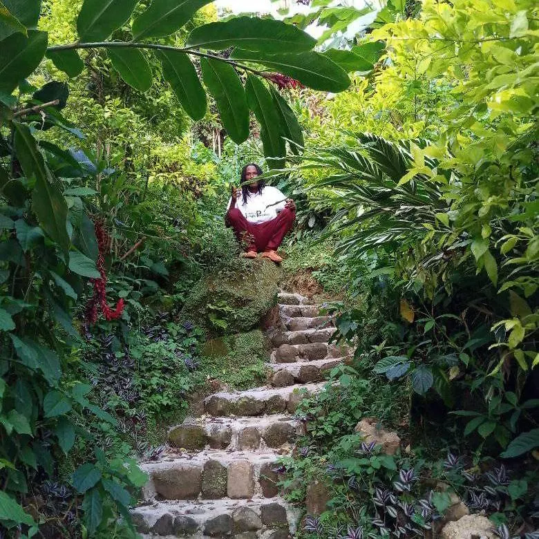 Berkey'S Jungle Paradise Resort Roseau 0*,  Dominica