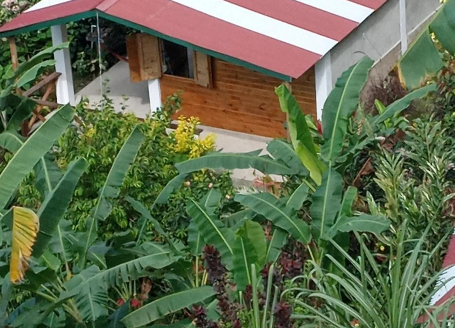 Berkey'S Jungle Paradise Resort Roseau