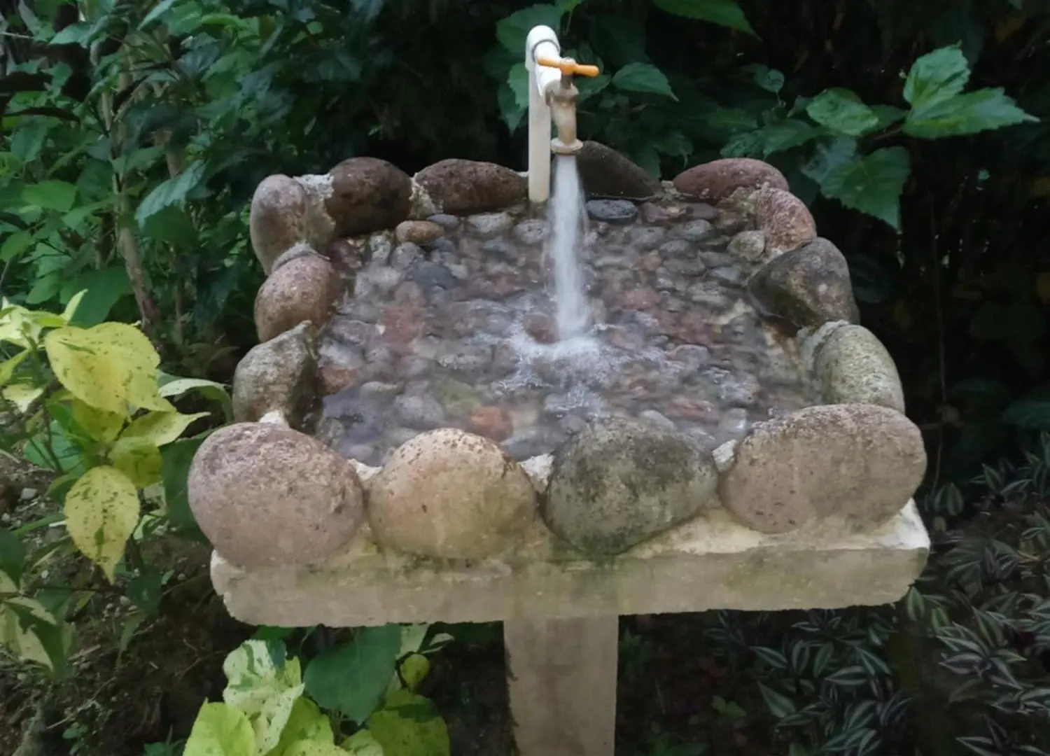 Berkey'S Jungle Paradise Resort Roseau 0*,  Dominica