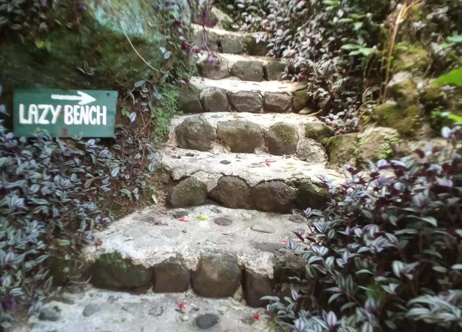 Сasa de vacaciones Berkey'S Jungle Paradise Resort Roseau