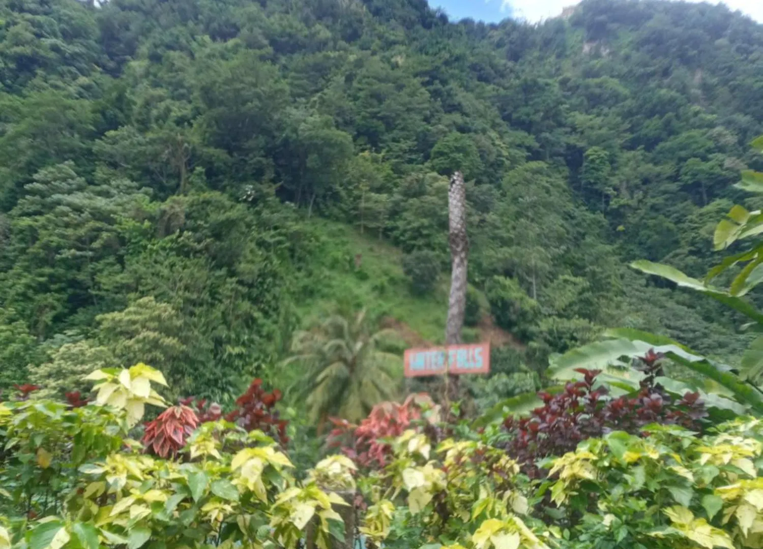 Berkey'S Jungle Paradise Resort Roseau 0*,  Dominica